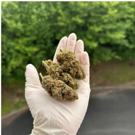 HappyCBD CBD květy – Strawberry 15% CBD Gramáž: 1g - Image 2